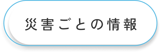 災害ごとの情報