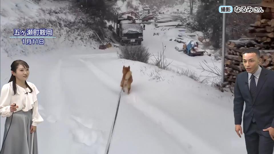 宮崎県内でも積雪に警戒を。ノーマルタイヤでの雪道走行は道路交通法違反で反則金が科される可能性も？気象予報士が解説する冬の安全運転の知識