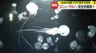 展示数約100種類へ“クラゲの展示数世界一”誇る「加茂水族館」がリニューアル 隣に「研修所棟」新設も【山形発】