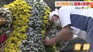 “異常な暑さ”で「キクが伸びない」　秋の風物詩・たけふ菊人形にも影響　溝を掘って水やり…例年にない対策も　福井