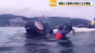 輪島の海底はどうなった？韓国・三重の海女20人が地震被害を受けた名舟町沖を視察