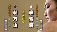 朝乃山は2敗目　藤青雲に肩透かしで敗れる