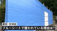 【なぜ】“大きすぎる掲示板”が話題に…ブルーシートで覆われ都議選と参院選で共用「まだ準備中なのかな」　校門挟んで両脇に2つの巨大掲示板にも疑問の声