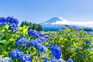 週末も梅雨の中休みで晴れ間が！　でも油断は禁物　ジメジメ空気で急な雷雨のおそれも