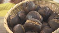 焼き栗にマロンパイ…絶品「栗スイーツ」がずらり 福岡で秋の味覚を満喫