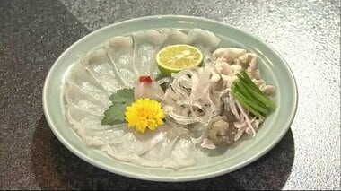高級食材「トラフグ」を北海道の