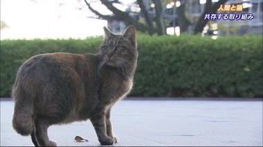 「地域猫活動」でトラブル減少…地域で野良ネコを育てながら共存【広島発】