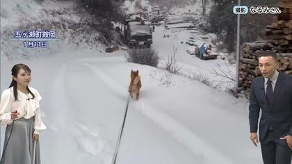 宮崎県内でも積雪に警戒を。ノーマルタイヤでの雪道走行は道路交通法違反で反則金が科される可能性も？気象予報士が解説する冬の安全運転の知識