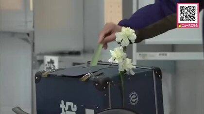 【帯広市長選】投票始まる＿新人2人と現職の“三つどもえ”の争いに…経済振興策や市街地の活性化策などを争点に激突『即日開票』へ〈北海道帯広市〉