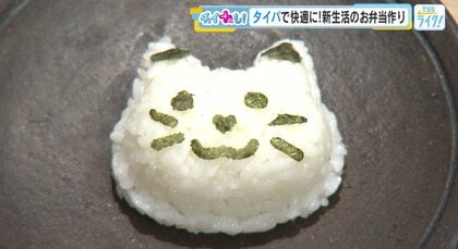 忙しい朝を助ける「タイパ」重視のお弁当グッズ特集：洗いやすさと時短に注目【広島発】