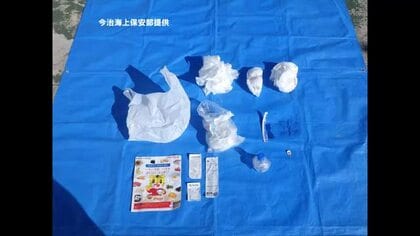 なぜ…子供用の紙オムツを西条の海に不法投棄　３０代女を逮捕　動機や余罪の有無調べる【愛媛】
