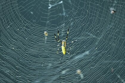 ＃18 オウム信者の警視庁巡査長が張った“蜘蛛の糸”…警察庁長官銃撃事件関与認め“未把握情報”供述も捜査員感じた“フラストレーション”