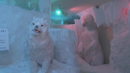 体感ー40℃!? 猛暑の中“極寒の世界”は｢冷たい!ヤバい!もう出たい!｣ 遊園地で絶叫するほどの涼を楽しむ!