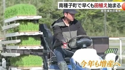 7月収穫の“超早場米”が始動　鹿児島・南種子町、米不足を受け作付面積を拡大