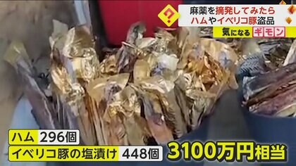 コンテナから“600kg”のコカイン押収　ハムやイベリコ豚の盗品“3100万円相当”も発見　スペイン