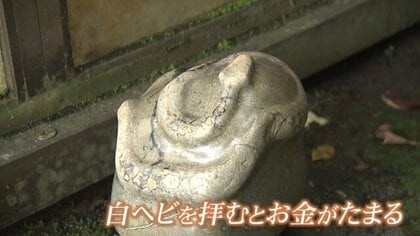 岩の隙間から“ヘビ神様”が…商売繁盛にご利益「弁財天白龍王大権現」　干支にちなみ県外からも参拝者