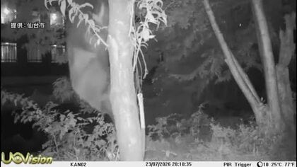 カメラに体長１メートルの姿　仙台市内の住宅街でクマ目撃相次ぐ　小学校の夏祭り中止や箱わな増設で警戒
