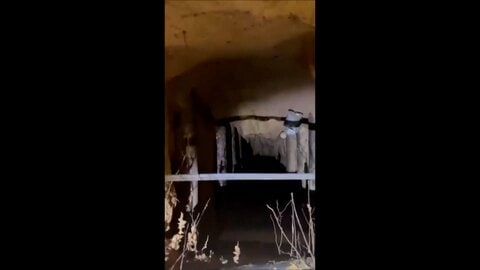 ポーランドに180人超の移民が不法越境…ベラルーシ国境の“森に隠されたトンネル”通る　これまでに130人超を拘束