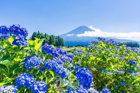 週末も梅雨の中休みで晴れ間が！　でも油断は禁物　ジメジメ空気で急な雷雨のおそれも