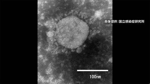 変異ウイルス 新たに7人　国内の感染確認は41人に