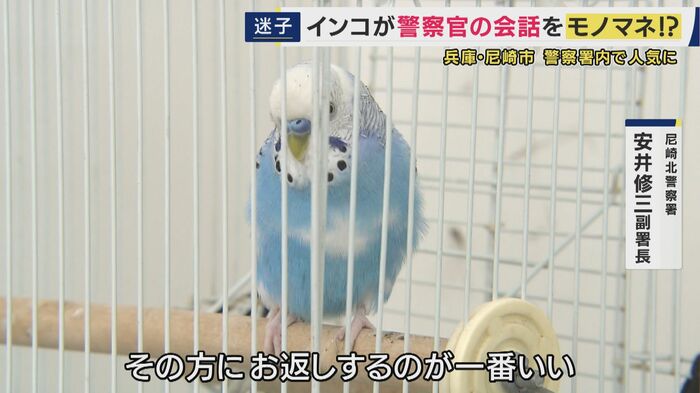 “しゃべる落とし物”　いつか飼い主に