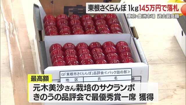 1kg145万円で落札されたサクランボ