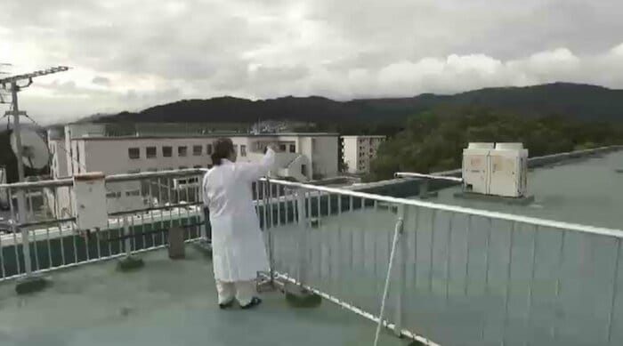 花粉調査のようす