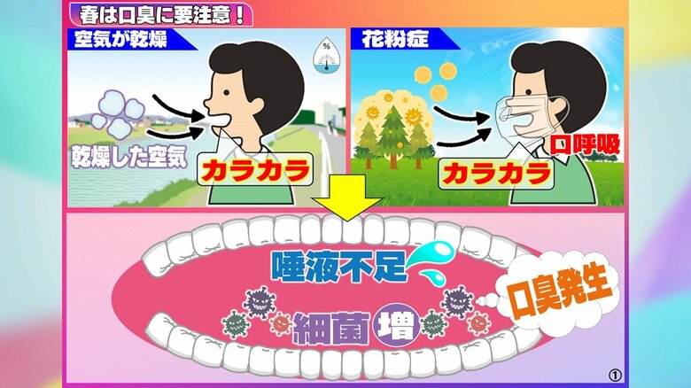 【あなたは大丈夫?】乾燥と花粉で“口臭注意報”!気になる正しい口臭ケアとは 口の中カラカラは黄色信号…唾液がポイント｜FNNプライムオンライン