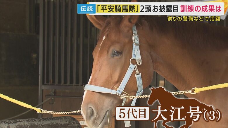 “馬で警備”京都府警「平安騎馬隊」一時は「殺処分」も検討された若駒「大江号」治療と訓練経てデビューへ｜FNNプライムオンライン