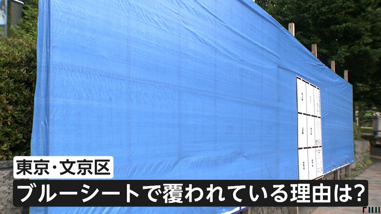 【なぜ】“大きすぎる掲示板”が話題に…ブルーシートで覆われ都議選と参院選で共用「まだ準備中なのかな」　校門挟んで両脇に2つの巨大掲示板にも疑問の声｜FNNプライムオンライン