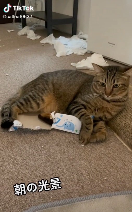 朝のイタズラ後…