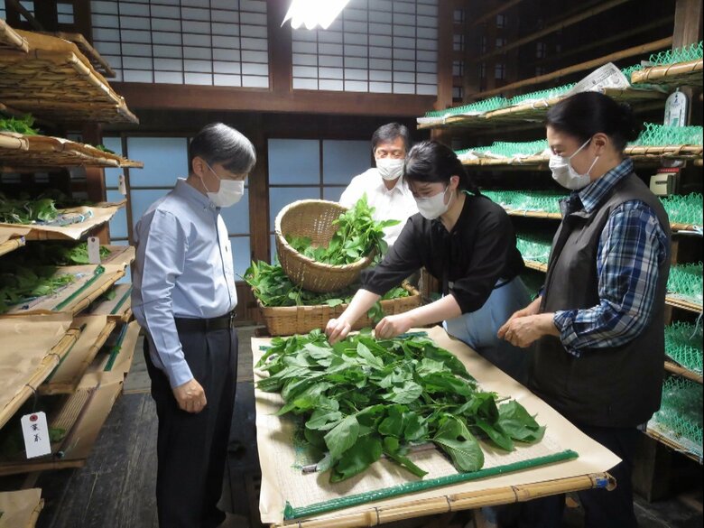 給桑(6月1日・写真:宮内庁提供)