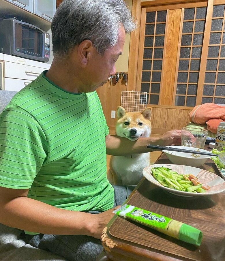 「おいしそうだね」