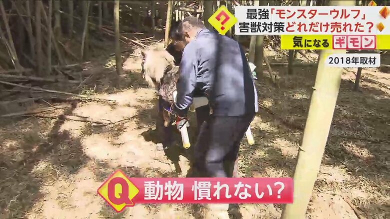 2018年取材時に、モンスターウルフを設置している様子