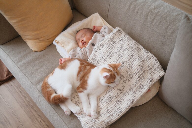 提供：こなつさん