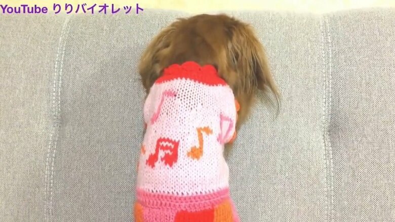 隊長くんのおもちゃを無理矢理横取りして怒られる理事長ちゃん