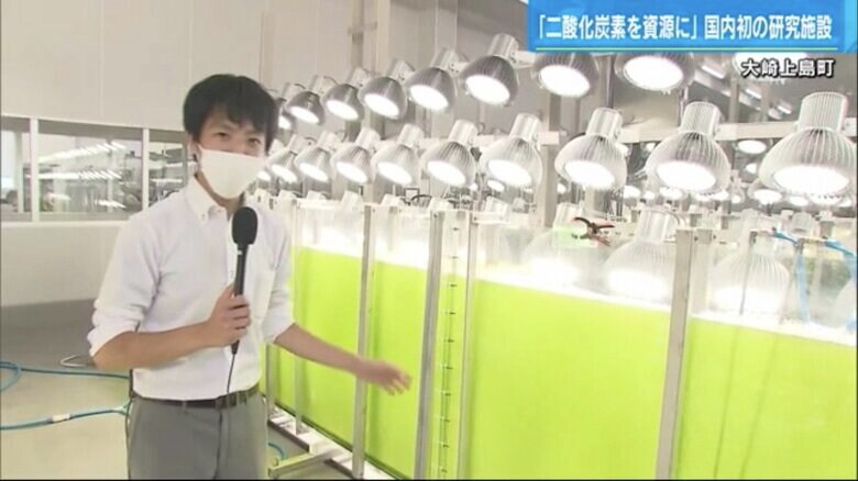 バイオマス燃料を作るため、微生物に光合成でCO2を吸収させ培養する設備