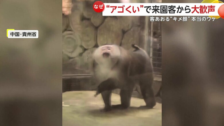 “アゴくい”ポーズでキメるサル（中国SNSより）