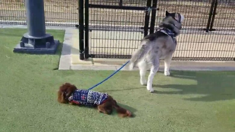 帰宅阻止された時の様子　その1