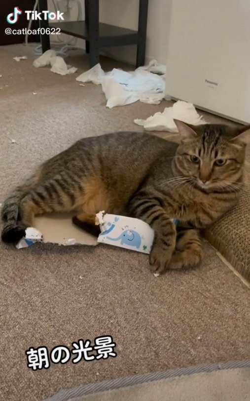 朝のイタズラ後…