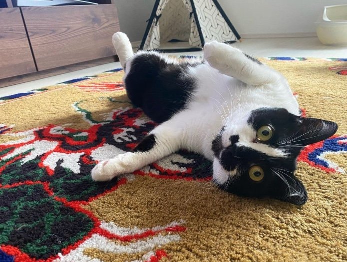 提供：卵山玉子先生