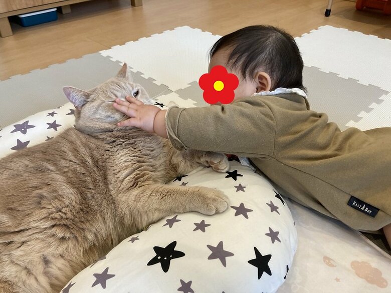 小鉄くんはパンチされても怒ることはないという