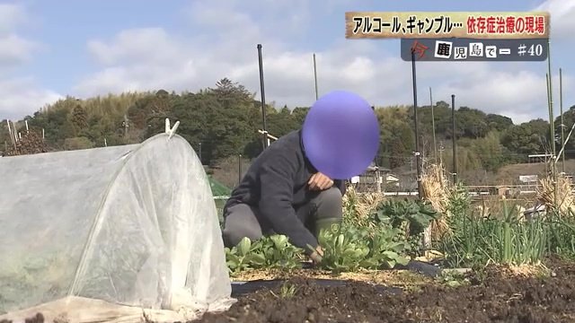 Aさんは野菜作りを通して充実感を感じてる