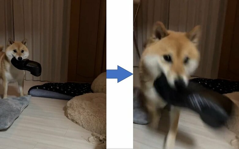 体当たりするかのように強行突破！