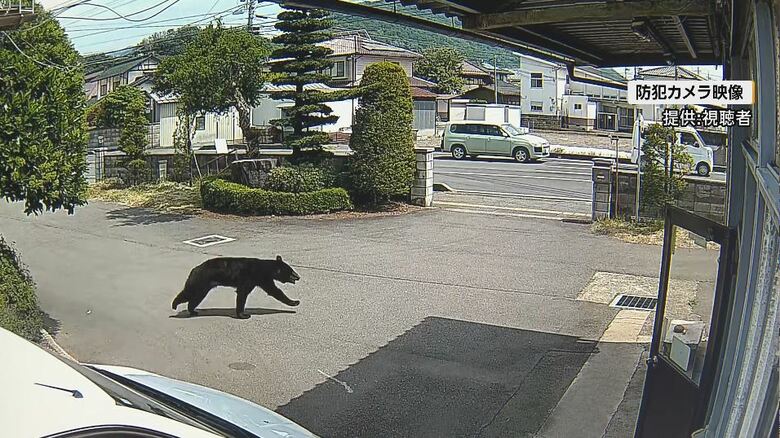 防犯カメラの映像（提供：視聴者）