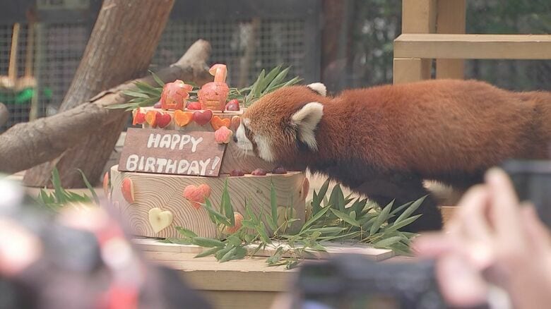 バースデーソングとともに特性ケーキをプレゼント