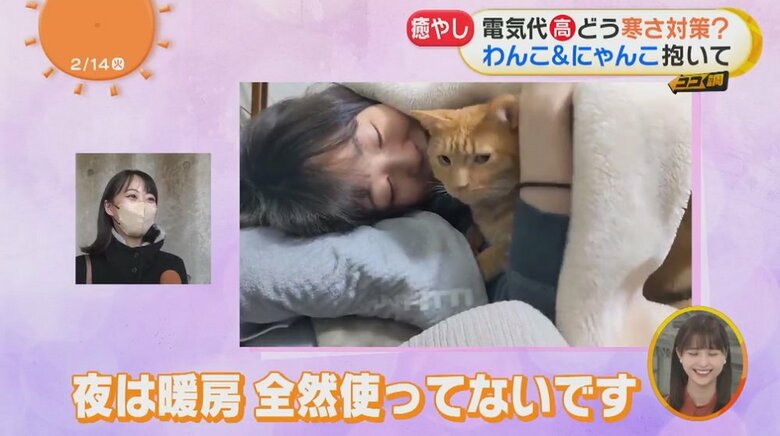 必ず猫が腕の中に入ってきてくれるという…！