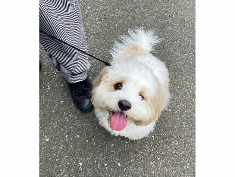 提供：宮原幸恵さん