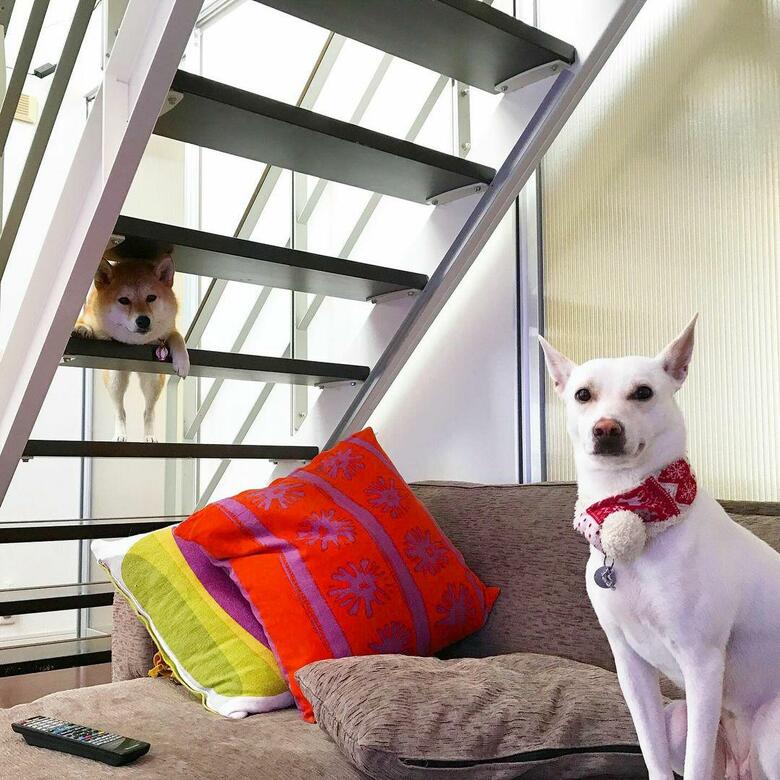 提供：橋本真実さん