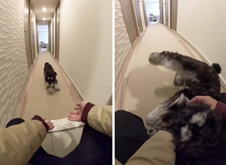 ドーン！とぶつかってくるテオくん